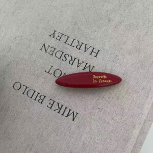 french ins gold label wide glossy hairpin high end black back clip spring clip ins hairpin